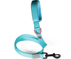 Pets Collection ZOLUX Smycz šuniui su nylonu premium 1,2 m/20 mm M kol. turkio
