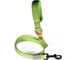 Pets Collection ZOLUX Nailono pavadėlis šunims premium 1,2 m/25 mm XL spalva šviesiai žalia