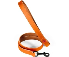 Pets Collection ZOLUX Šuns pavadėlis iš klasikinės odos 1 m/20 mm oranžinės spalvos