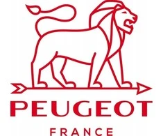 PEUGEOT Druskos malūnėlis 10 cm BISTRO GRAPHITE