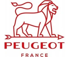 Peugeot PARIS GRAPHITE druskos malūnas 30 cm