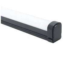 Philips Hermetiškas šviestuvas PILA WT007C 38W 4800lm 4000K 48S/840 PSU L1200mm 2 metų garantija