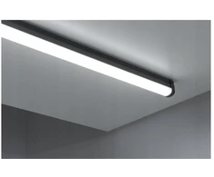 Philips Hermetiškas šviestuvas PILA WT007C 38W 4800lm 4000K 48S/840 PSU L1200mm 2 metų garantija