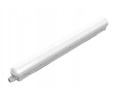 Philips Hermetinis šviestuvas PILA WT008C 18W 2000lm 4000K 20S/840 PSU L600 CLASSIC