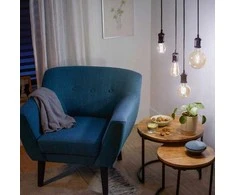 LED lamp Philips Wiz LED. baltas. E27. 7 W. 640 lm