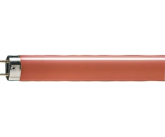 Philips TL-D spalvota linijinė T8 G13 36 W liuminescencinė lempa (871150072748040)