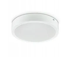 Philips Prožektorius Ledinaire DN065C G4 19W 2000lm 4000K LED20/840 19W 220-240V 8-D225 5 metų garantija