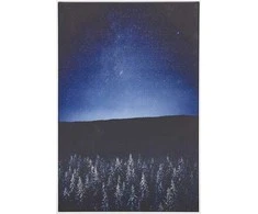 Patalynės komplektas Beliani Vaizdas ant drobės naktinio rėmo peizažas 63 x 93 cm mėlyna -juoda LORETO!