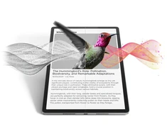 Planšetė Lenovo Idea Tab Pro 12.7'' 256 GB Pilka (ZAE40013GR)