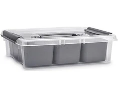 Plastikinė dėžė su dangčiu ir skyreliais Pro Box Plast Team 8L permatoma