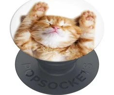 Popsockets PopGrip Basic Snoozy Cat