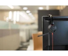 Ausinės Poly Blackwire 5220 (207586-201)