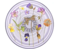 PopSockets Laikiklis i podstawka do telefonu PlantCore Grip Violetinė Fields 806198