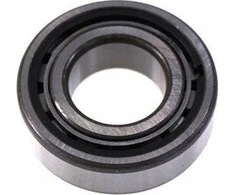 PRO krumpliaračio nosinis ritininis guolis Winters