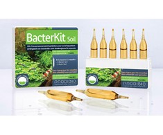 Prodibio Bacter 6 amp.