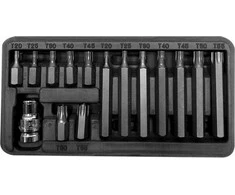 Zestaw Rinkinys Antgalių rinkinys 10 mm, torx antgaliai, T20-T55, ilgis 30/75 mm, 15 vnt. proline