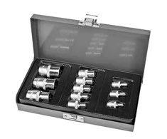 Zest.11 11 CV galvučių rinkinys su Torx galvutėmis: 1/2-3/8-1/4'', E4-20 proline