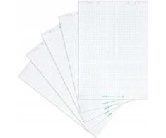 Proma LANDRE Flipchartblock 65x98-20 Blatt-kariert 25-80g/qm