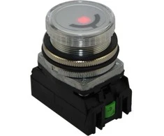 Promet 30mm skaidri 24 - 230V AC / DC (W0-NEEF30WPW)