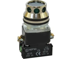 Promet Valdymo mygtukas 30mm žalias su apšvietimu 2Z 24V (W0-NEE30-KL 2X Z)