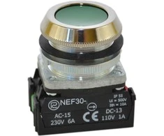 Promet Valdymo mygtukas 30mm žalias su 2Z grįžtamasis (W0-NEE30-K 2X Z)
