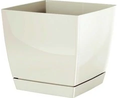 Prosperplast Dekoratyvinis gėlių vazonas su padėklu Coubi Square P 13.5x13.5x12.4cm plast./kreminės sp.
