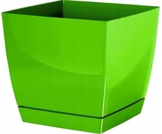 Prosperplast Dekoratyvinis gėlių vazonas su padėklu Coubi Square P 10x10x9.2cm plastikinis/žalias