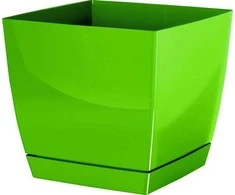 Prosperplast Dekoratyvinis gėlių vazonas su padėklu Coubi Square P 13.5x13.5x12.4cm plastikinis/žalias