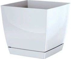Prosperplast Dekoratyvinis gėlių vazonas su padėklu Coubi Square P 13.5x13.5x12.4cm plastikinis/baltas
