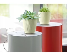 Prosperplast FLOWER POT SANDY P DSY110P-CY728