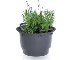 Prosperplast Plastikinis vazono įdėklas, juodos sp., 28 x 17 cm