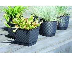 Prosperplast Dekoratyvinis gėlių vazonas Ratolla Square D25cm/H22cm antracito sp.