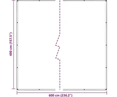 Skaidrus brezentas su ąselėmis 4x6 m PVC