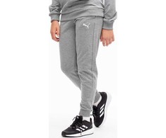 Kelnės vaikams Puma Team Goal pilka 658601 33 (152cm)