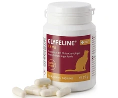 Purina Nestle Purina GLYFELINE 15 mg GLIKOAMINO VALDYMAS KATĖMS 60 kaps.
