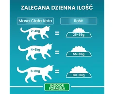 Purina Nestle One Indoor kalakutiena – sausas kačių maistas – 3kg