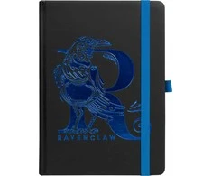 Pyramid HARIO POTERIO UŽRAŠAI ZESZYT RAVENCLAW 120 tūkst.