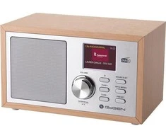 GoGEN DAB620BTCS