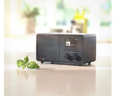 Radijas PINELL Radijas Pinell Supersound 301 WALLNUT DAB /DAB+/Int