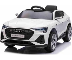 Ramiz Elektromobilis vaikams Audi E- Tron QLS-6688, 4x4, baltas