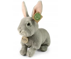 Rappa Eco-Friendly Pliušinis žaislas - triušis, 23 cm