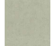 Rasch Tapetai 408171 0.53