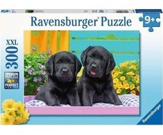 Ravensburger Dėlionė 300 vnt. - Maži lambradorai