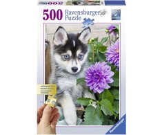 Ravensburger Dėlionė 500 vnt. - Šuniukas haskis