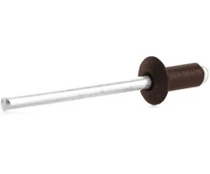 Haushalt Rawlplug Aliumininio plieno kupolinės spalvos 4.0x8 50 vnt.
