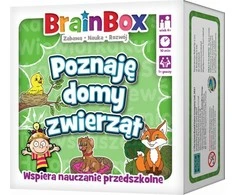 BrainBox - Aš mokausi apie REBEL gyvūnų prieglaudas