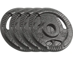 Ketaus svarelių rinkinys 4x1.25kg, skylė 31mm, plokštė su rankenomis, REBEL ACTIVE