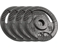 Ketaus svarelių rinkinys 4x2.5kg, skylė 31mm, plokštė su rankenomis, REBEL ACTIVE