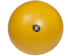 Reha Fund ABS PILO-1045 REHAFUND Rehabilitation Ball