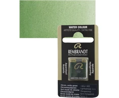 Rembrandt Rembrandt Akvarelinių dažų keptuvė, chromo oksido žalia spalva, 668